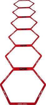 Pure2Improve Hexagon agility grid Loopladder
