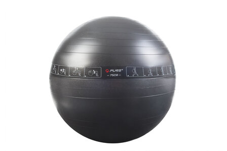 Pure2Improve Exercise ball 