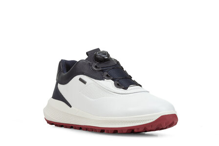 Geox golf online