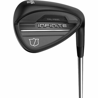 Wilson Infinite Wedges Staal