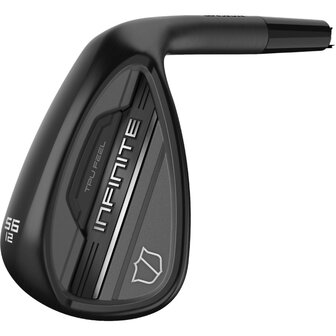 Wilson Infinite Wedges Staal