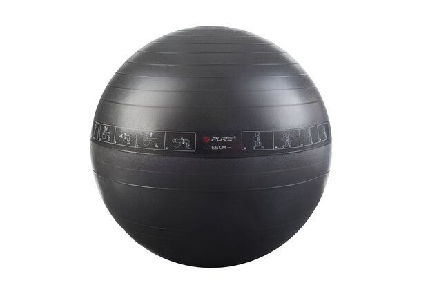 Pure2Improve Exercise Ball 65cm