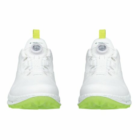 Ecco M Golf Biom C5 BOA Wit Bay Groen Heren Golfschoenen