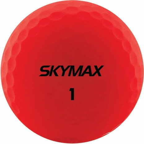 Skymax Bipower Golfballen 2-Piece Tour Balls